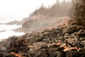 Maine